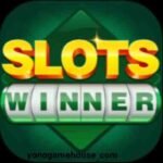 Slots Winner